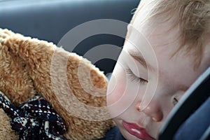 Toddler Sleeping