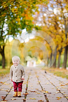 Toddler walking in the park at the autumn