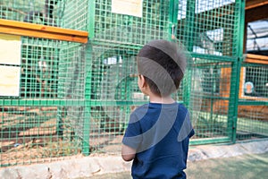 Toddler in the Zoo