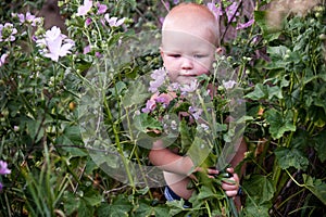Toddlers climbed into the thicket of flowers in the summer noon. Concept of children among flowers