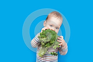 Todler with broccoli on blue background, healthy baby food. Complementary feeding of child with vegetables.