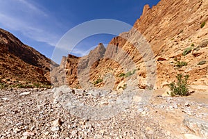 Todra Gorge in the High Atlas near the Tighir town. Morocco, Africa