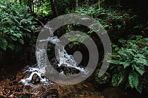 Todtnauer waterfalls of the black forest Schwarzwald