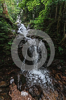 Todtnauer waterfalls of the black forest Schwarzwald