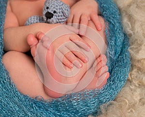 Toes and fingers of a newborn, closeup