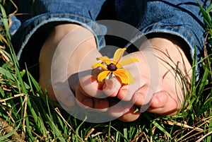 Toes holding flower