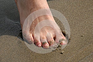 Toes in Sand photo