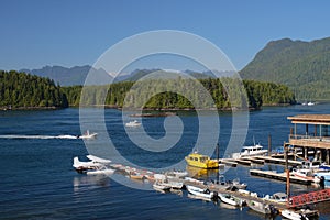 Tofino Harbour, BC photo