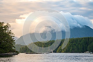 Tofino Harbour, Vancouver Island. British Columbia, Canada