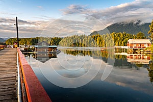 Tofino Harbour, Vancouver Island. British Columbia, Canada