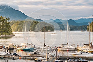 Tofino Harbour, Vancouver Island. British Columbia, Canada