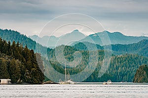 Tofino Harbour, Vancouver Island. British Columbia, Canada