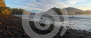 Tofino, Vancouver Island, Landscape Panorama of Early Morning Light at Tofino Inlet Mudflats, British Columbia, Canada