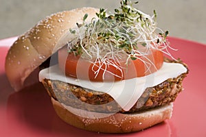 Tofu Burger img