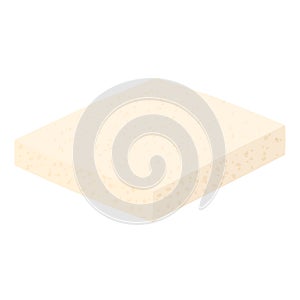 Tofu cheese. Soy cheese illustration isolated on white background.
