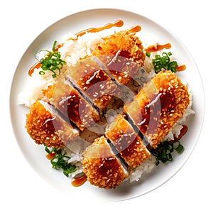 Tofu Katsu On White Plate, On White Background