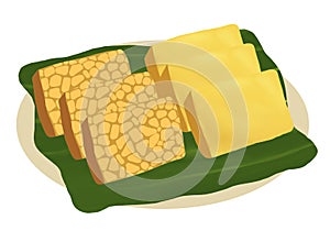 Indonesian Traditional Food Tempeh and Tofu Illustration by Indy Purwa photo