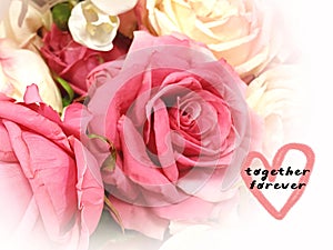 Together forever heart love wishes ,Pink white roses and petal floral spring summer background copy space