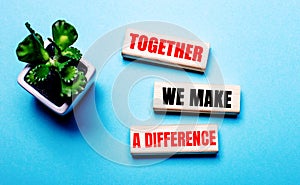 TOGETHER WE MAKE A DIFFERENCE is written on wooden blocks on a light blue background near a flower in a pot