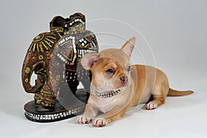 Together We Are Strong! - Chihuahua puppy ith elephant statue figurine