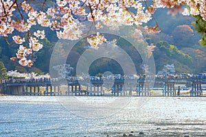 Togetsukyo bridge that crosses the Katsura River with scenic full bloom cherry blossom in spring