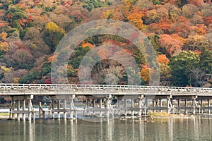 Togetsukyo bridge with multiple colour tree on the mountain background