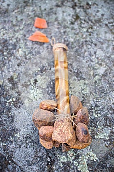 Togo seed rattle photo