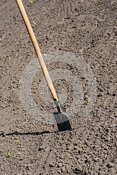 Toil work of ground. spade insert soil
