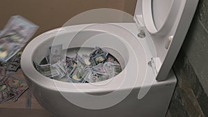 Toilet Banknotes Dollar