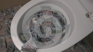 Toilet Banknotes Dollar