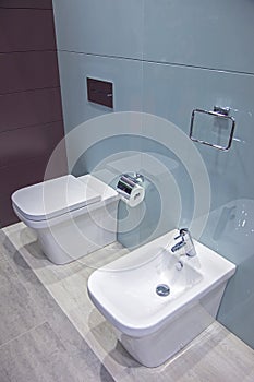 Toilet and bidet in the bathroom