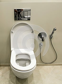 Toilet with bidet in the bathroom