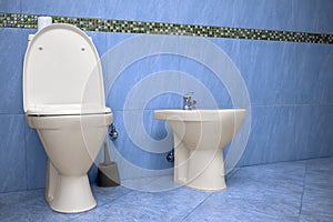 Toilet and bidet in the bathroom