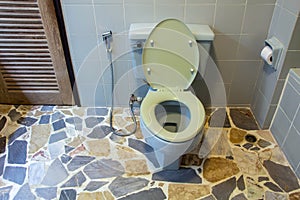 Toilet bowl with bidet shower in toilet