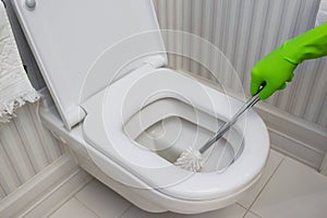 Toilet bowl cleaning. cleaner in green rubber gloves