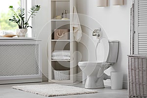 Toilet bowl in modern interior
