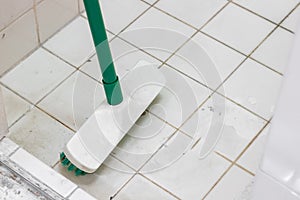 Toilet brush on dirty bathroom floor