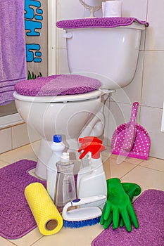Toilet cleaning tidying, detergents, chemicals, sponges.