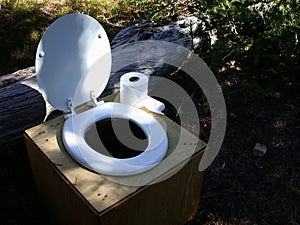 Toilet Creature Comforts photo