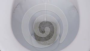 Toilet Flushed Top Down View