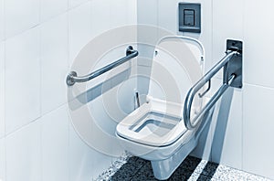 Toilet with handrails for the disabled