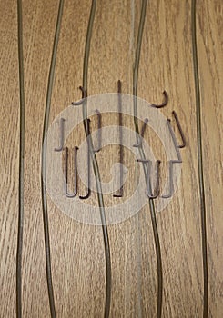 Toilet logo