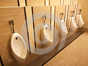 Toilet men with row orderly urine bowls and luxury modern style