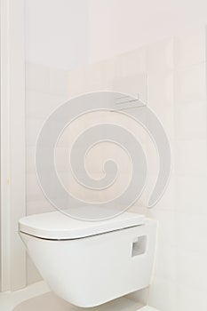 Toilet in modern, bright house