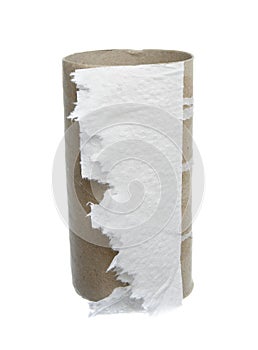 Toilet paper 5