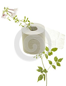 Toilet Paper with Flower Grown through photo