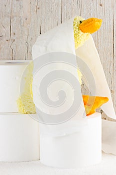 Toilet paper with funny plush duck