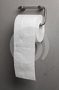 Toilet paper on a holder