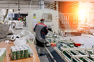 Toilet paper production line. Rolls of toilet paper on conveyor