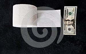 Toilet paper roll with dollar banknotes